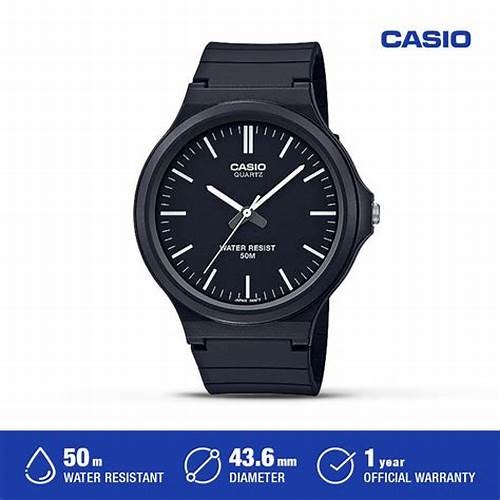 Casio Jam Tangan Pria Analog MW-240-1EVDF