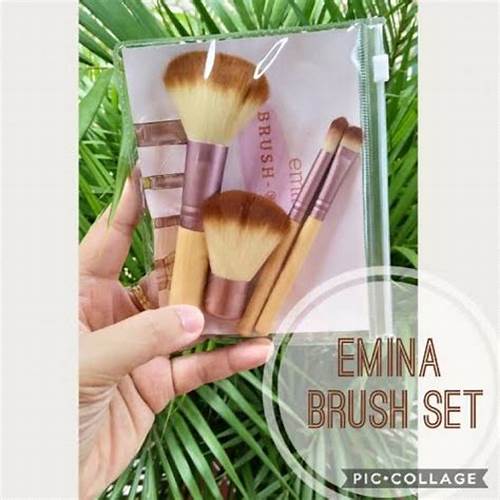 Emina Brush Set