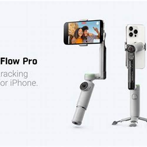 Insta360 Flow 2 Pro - Gray