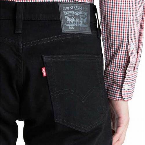 Levi's 505 Regular Fit Native Cali (00505-1469)