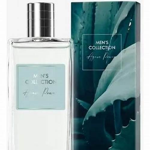 Men's Collection Agave Power EDT