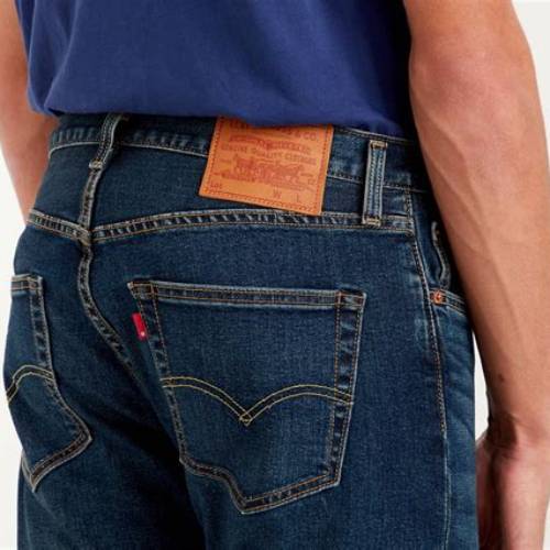 Straight Regular Fit Jeans Pria